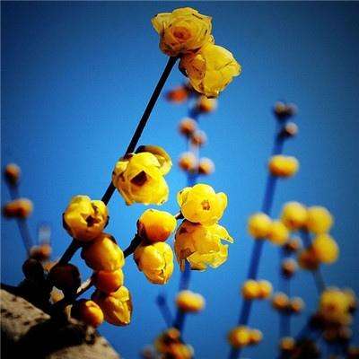 8868体育官方版最新版